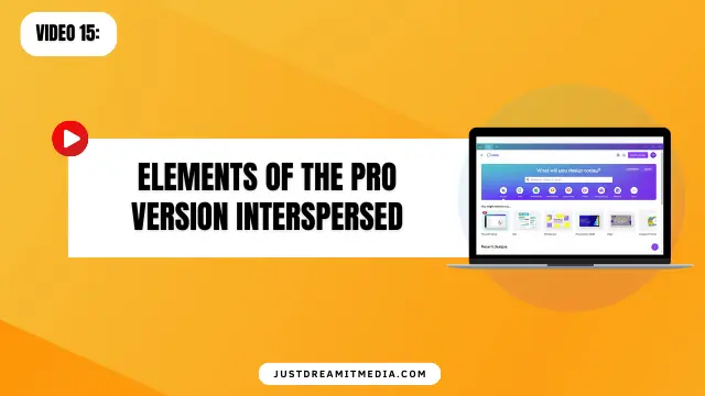 Elements of the Pro Version Interspersed