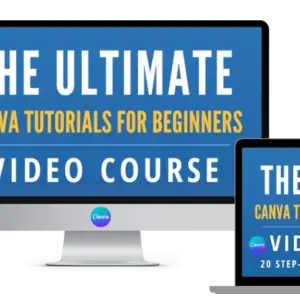 how to use canva for beginners